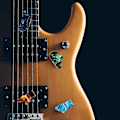 Miniatyrbild 2 av 5: Tummplockar Fingerplockar, Medium, Vinklade Platta, Celluloid Gitarr Fingerplockar