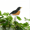 Miniatyrbillede 3 af 5: Meter Ing Alarm Fugl Plante Er Sensor Ening Værktøjssæt Til