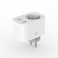 Miniatyrbillede 4 af 4: Europæisk Standard 16a Alaexa Split Switch Smart Stikkontakt Med Dobbelt USB