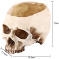 Miniatyrbillede 4 af 5: Skull-131-skull Blomsterpot