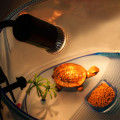 Miniatyrbillede 3 af 3: Creepypasta Turtle Light Bulb 75w Uva Uvb Reptile Light Kit Reptile Heat Lamp Turtle Light Bulb Basking Lamp