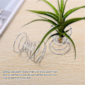 Miniatyrbillede 5 af 5: 6 stk. Luftstand Luftplante Beholder Tillandsia Holder Rustfrit Stål Display Luft Ananas Base