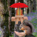 Miniatyrbillede 4 af 4: Egern Foderbord Dyr Træ Majs Kol Holder Foder Udendørs Egern Foder