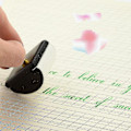 Miniatyrbillede 2 af 5: Kalligrafi Pen Set - Fountain Dip Pen Og Blæk Pen Med 10 Nibs Dobbelt Pol