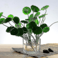 Miniatyrbilde 4 av 4: Sett med 3 firkantede glassvaser 5 x 5 tommer gjennomsiktig kubeformet blomster vase, lysestaker - Perfekt som et bryllupssenter, hjemmedekorasjon