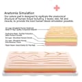 Miniatyrbillede 3 af 3: Komplett Suture Kit til Udvikling og Forfining af Sutureteknikker