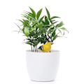 Miniatyrbillede 5 af 5: Meter Ing Alarm Fugl Plante Er Sensor Ening Værktøjssæt Til