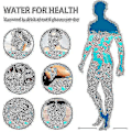 Miniatyrbilde 3 av 3: Hydrogen Generator Vannflaske, Real Molecular Hydrogen Rich Water Generator Ionizer Maker Machine