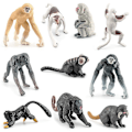Miniatyrbillede 4 af 5: 10 stk. Realistiske Primatfigurer Simuleringsdyrfigurer Børns Læringslegetøj
