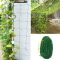 Miniatyrbillede 3 af 4: Plante klatrenet  Blomsterbønner Vinstok espalier Have net support