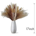Pikkukuva 5 / 5: 100 kpl 17 tuuman Pampas R, Kuivattu Pampasruoho Sisältää Pampas ( Ja ), Re