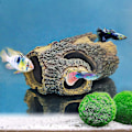 Miniatyrbillede 2 af 5: Harpiks Hul Træstamme Betta Log Akvarium Dekoration Ornament Fisk Hus Hule Træhus Dekoration Til Små Og Mellemstore Akvarier