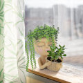 Miniatyrbillede 5 af 5: Ansigtsformet Plantepotte - Dobbelt Blomsterpotte i Én til Indendørs Udendørs Planter Harpiks Sød Dame Ansigt grey