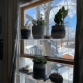 Miniatyrbillede 5 af 5: Premium Transparente Akryl Vindue Plantehylder 2/3 Lag Transparent Hængende Flydende Væg Hylde Blomsterpot Stativ Planter Stativ Indendørs Udendørs Dekoration