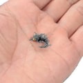 Miniatyrbilde 5 av 5: Hmwy-40stk fluefiske lokke sett tørrflue fluer agn kroker Fe