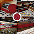 Miniatyrbilde 4 av 4: Piano Tuning Kit, Profesjonelt Piano Tuning Kit Inkludert Tuning Wrench Hammer, Temperament Strip