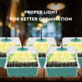 Miniatyrbild 2 av 5: Nytt 5-pack Mini Plant Greenhouse kit, med Full Spectrum Solar Light, Indoor Greenhouse Grow Box med lock och ventiler