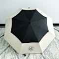 Miniatyrbillede 4 af 4: Camellia Automatisk Paraply til Kvinder og Mænd, Sammenfoldelig Anti-UV Transparent Parasol, Sort Kamelia