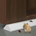 Miniatyrbillede 5 af 5: Foldbar badeværelsesprop Anti-Increation Barriere Gummi Vanddæmning Til Våd Hal Til Våd Brusebad Stående Gade (Farve: Farve: Farve: Farve: Farve: Co