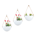 Miniatyrbild 1 av 3: Väggmonterad kruka inomhusväxter Keramisk hängande kruka Planter Succulent Luftväxter Kaktus Simulering Växter Badrum Vardagsrum Kontor Veranda D
