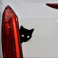 Miniatyrbilde 3 av 5: Katt bilklistremerke