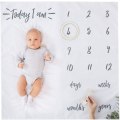 Miniatyrbillede 3 af 3: Dekoration - \"Oh Baby\" Milepæl tæppe, til de smukkeste minder!
