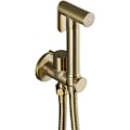 Miniatyrbild 1 av 5: Handhållen bidéslang för toalett, borstad guld mässing toalett spray kit enkel kall väggmonterad toalett spray, för rengöring av toalett,