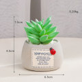Miniatyrbilde 1 av 4: Mini Sukkulent Mikro Landskap Simulering Potteplante (Grønn Bergamot)
