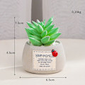 Miniatyrbillede 1 af 4: Mini Sukkulent Mikro Landskab Simulering Potteplante (Grøn Bergamot)