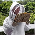Pikkukuva 5 / 5: Koko vartalon mehiläistarhaajan pukusu, huppu ja verhot, mehiläistarhaajan suojavaatteet, puuvillainen mehiläistarhaajan pukusu, ampiaisen huppu, varusteet (XXL)