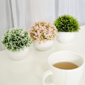 Miniatyrbillede 2 af 4: Simulering Grønne Planter Mini Kunstige Planter - Moderne Bondehus Planter Hjemmeindretning - Små Kunstige Planter - Kontor/Køkken/Badeværelse/Soverum/Skab/Liv
