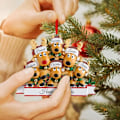 Miniatyrbillede 4 af 5: Personlige juledekorationer til familien - Unikke gaver til jul