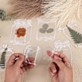 Miniatyrbillede 4 af 5: 20 stk. Blomsterbogmærke, (Almindelig flaske) Transparent Blomsterbogmærke Transparent Tørret Blomsterbogmærker Tørret Blomsterbogmærke til Hjem DIY Læsning Al