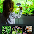 Miniatyrbillede 2 af 5: Fahrenheit Akvarietermometer, LCD Akvarietermometer Digitalt Nøjagtigt Akvarium Vandtæt Termometer Akvarium