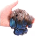Miniatyrbillede 2 af 5: 50 stk. Mini Blå Tablet Kyllingefjer (2-4 tommer)