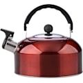 Miniatyrbillede 1 af 4: Teapot i rustfrit stål, gasebarm kedel, ideel til at tilberede dine infusioner med stil