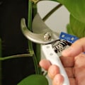 Miniatyrbillede 3 af 4: Havesaks Beskæresaks Til Urter Grene