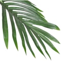 Pikkukuva 2 / 2: Keinotekoinen Cycas-palmu 80 cm ruukulla