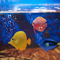 Miniatyrbillede 4 af 4: Flydende kunstig fisk 3-delt kunstig fisk akvarium lys fisk Falsk fisk simulering dekorativ akvariefisk til akvarium, akvarielandskab