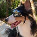 Miniatyrbilde 1 av 5: Motebriller for hund med justerbar stropp, UV-beskyttelse, vanntett, vindtett, støvtett, briller for store og mellomstore hunder