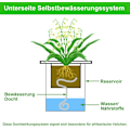 Miniatyrbillede 3 af 5: 1 stk Automatisk Plant Vandings System, 20M Absorberende Kernetov til Automatisk Havevanding, Plantkurve, Potter, Planter