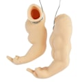 Miniatyrbillede 1 af 5: Muskelkylling Arm Legetøj til Kylling, Sjovt Kostume Næve Kamp Arm Legetøj til Kæledyr Prank Temafest, Kunstig Arm Kostume Rollespil Kylling (1 Par)