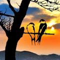 Miniatyrbillede 4 af 5: Silhouette Doiseau, 2 fugle på metalgren, kunst have dekoration, sort