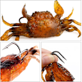 Miniatyrbillede 4 af 5: 3D-simuleret krabbe-agn