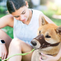 Miniatyrbilde 2 av 5: Hunde munnkurp Anti-bite skinn munnkurp Pustende hundemunnkurp Hundemunnkurp for å forhindre bjeffing (Brun, S)