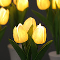 Miniatyrbillede 5 af 5: 2 Pak Stilfulde Tulipan Blomster Bordlampe, 3 Stilke Hvid Tulipan LED Nattelys, Simulation Potte Nattelys Fødselsdag Ferie Fest Bryllup Værelse Dekoration