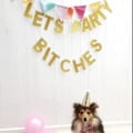 Miniatyrbillede 1 af 5: 4 stk. LET'S PARTY BITCHES Vimpler Guirlander, Glitter Papir Bannere til Fest Dekoration