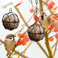 Pikkukuva 2 / 4: 4 kpl Lintujen ruokintalaitteita metallisessa Porte Boule de bird -ripustimessa mustalla ulkokäyttöön sopivalla sisustuksella, halkaisija 7 cm, ruoanjakelija 4 S-muotoisella koukulla