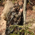 Pikkukuva 4 / 5: 3D-naamiointi Ghillie-metsästyspuku Puku Metsästysvaatteet Viidakkoon