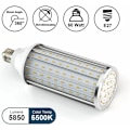 Pikkukuva 4 / 5: E27 LED Mas 60W polttimo, vastaa 550W polttimoa, 6500K kylmän valkoinen E27 LED-polttimo, ei himmennettävä, 5850lm 160x5630smd, Edison LED-polttimo Mas (60W kylmä valkoinen)